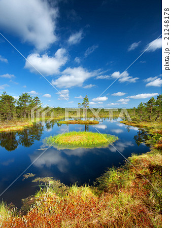 Viru bogs at Lahemaa national park Viru bogs at Lahemaa national park 21248178