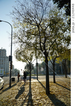 ヨーロッパの通り 21248448