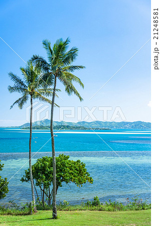ハワイ オアフ島 ヤシの木と海と青い空の写真素材