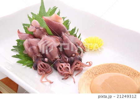 ホタルイカ ホタルイカ 21249312