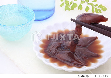 ホタルイカ　日本酒 21249315