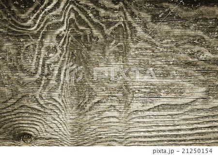 Old wood texture Old wood texture 21250154