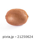 Kiwi fruit isolated on white background 21250624