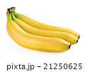 Bunch of bananas isolated on white 21250625