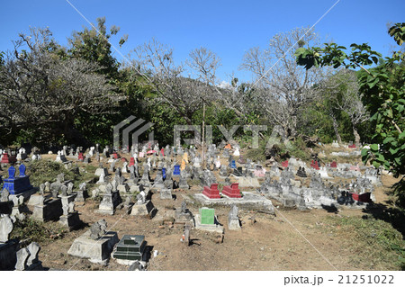 The tomb village 21251022