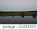 池 21252325