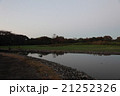 池 21252326