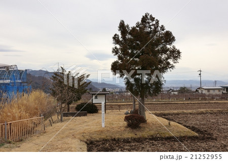 福島正則荼毘の地 21252955