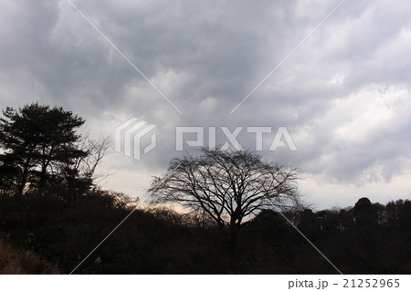 陰惨な天気 21252965