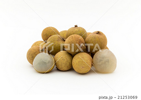 リュウガン:Longan リュウガン:Longan 21253069