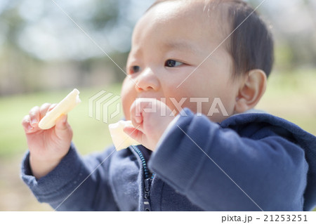 7 months old 7 months old 21253251
