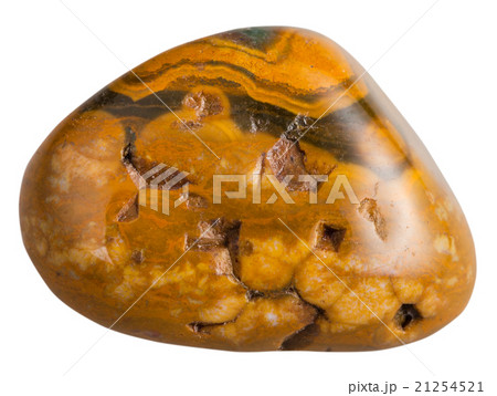 polished leopard skin jasper mineral gemstone polished leopard skin jasper mineral gemstone 21254521