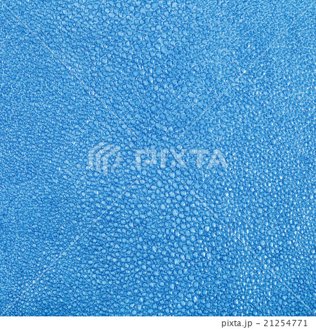blue painted texture of stingray skin 21254771