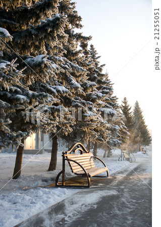 Winter park Winter park 21255051