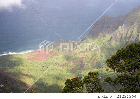 カララウ展望台、カウアイ島、ハワイ カララウ展望台、カウアイ島、ハワイ 21255504