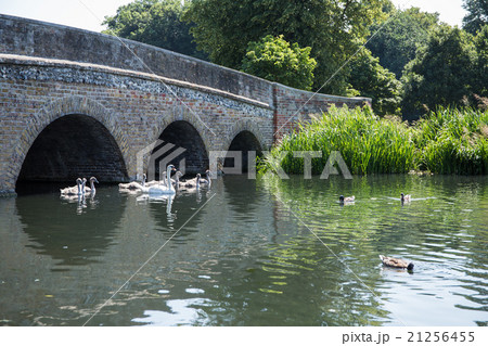 ロンドン郊外の公園 ロンドン郊外の公園 21256455