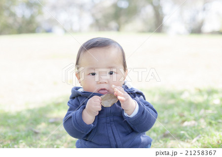 7 months old 21258367