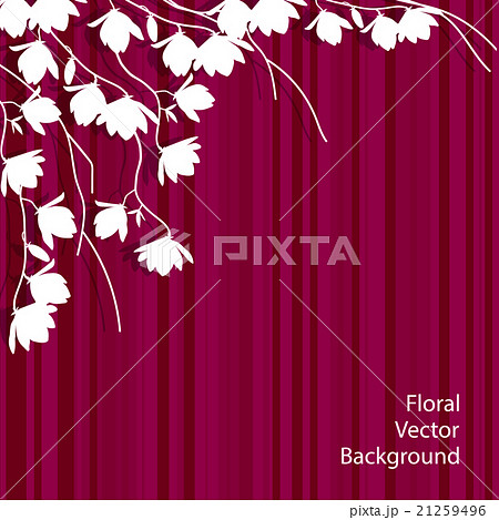 White magnolia branches on pink striped background 21259496