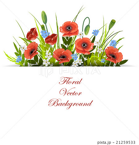 Floral vector background. 21259533