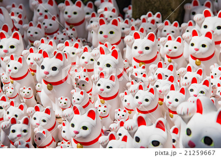 東京都　世田谷区　豪徳寺　招き猫 21259667