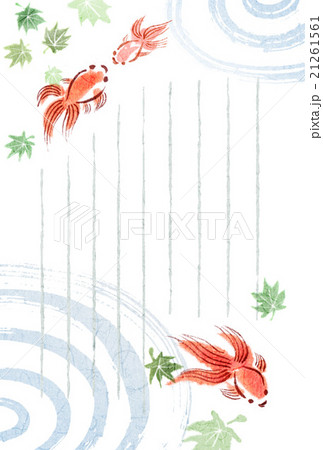 暑中 残暑 和風イラスト 夏 金魚 ポストカードのイラスト素材