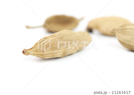 cardamom isolated cardamom isolated 21261617