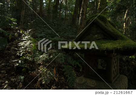 苔むした石灯籠 苔むした石灯籠 21261667