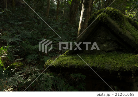 苔むした石灯籠 21261668