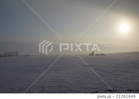 冬の十勝 21261849