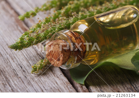 Extract of plantain in a glass bottle horizontal Extract of plantain in a glass bottle horizontal 21263134