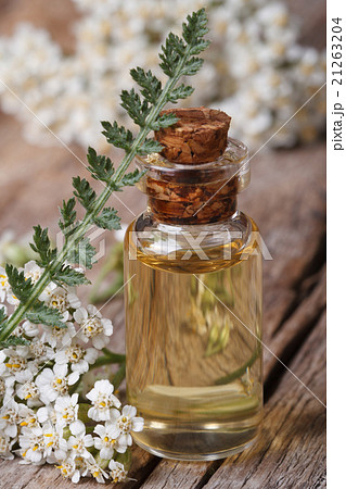 yarrow oil in a bottle with flowers vertical macro 21263204