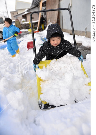 雪かきのお手伝い 21264878