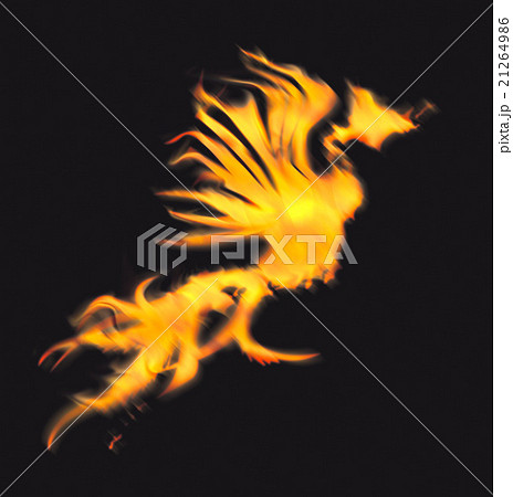 フェニックスと日本地図 21264986