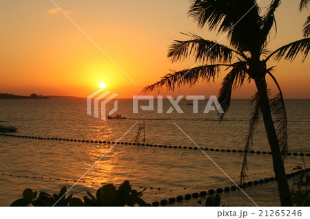 沖縄の夕日 21265246