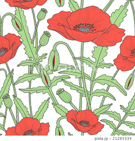Elegant floral seamless pattern with poppy flowers 21265334
