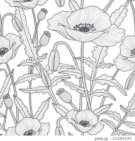 Elegant floral seamless pattern with poppy flowers 21265335