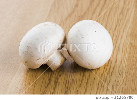 きのこ キノコ 茸 21265780