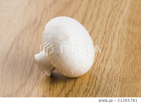 きのこ キノコ 茸 21265781