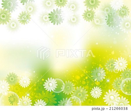 デージー　背景 21266038