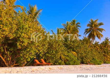 Tropical Maldives island Tropical Maldives island 21266456