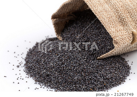 poppy seeds in a sack poppy seeds in a sack 21267749