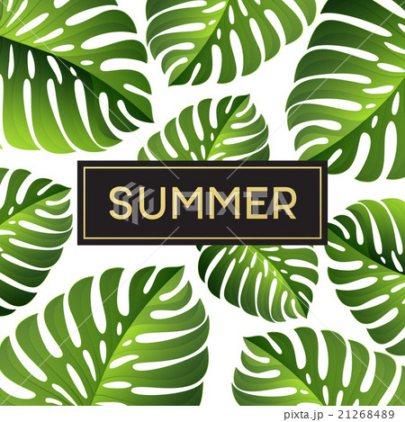 Tropical monstera leaves design for text card 21268489