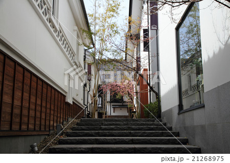 善光寺界隈　桜のある路地 21268975