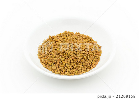 フェヌグリーク(メッチシード):Fenugreek(methi) フェヌグリーク(メッチシード):Fenugreek(methi) 21269158