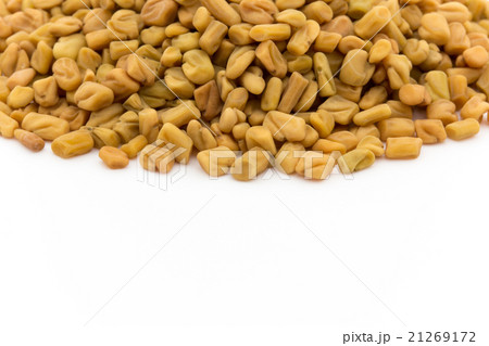 フェヌグリーク（メッチシード）:Fenugreek(methi) 21269172