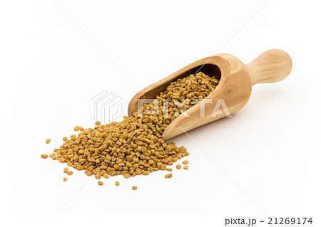 フェヌグリーク（メッチシード）:Fenugreek(methi) 21269174