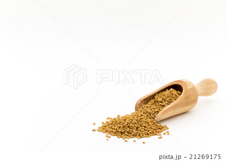 フェヌグリーク（メッチシード）:Fenugreek(methi) 21269175