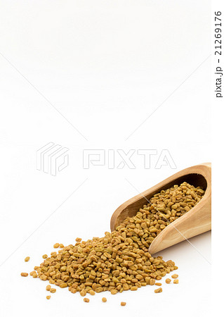 フェヌグリーク(メッチシード):Fenugreek(methi) フェヌグリーク(メッチシード):Fenugreek(methi) 21269176