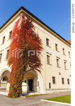Wawel Castle in Krakow, Poland 21269744