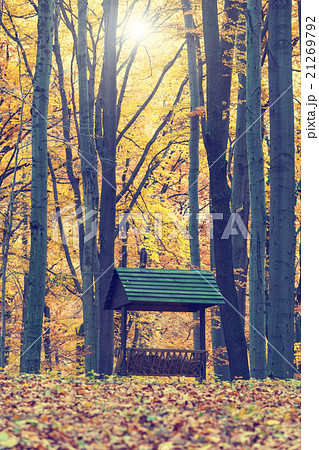Animals feeder in autumn forest, vintage look Animals feeder in autumn forest, vintage look 21269792